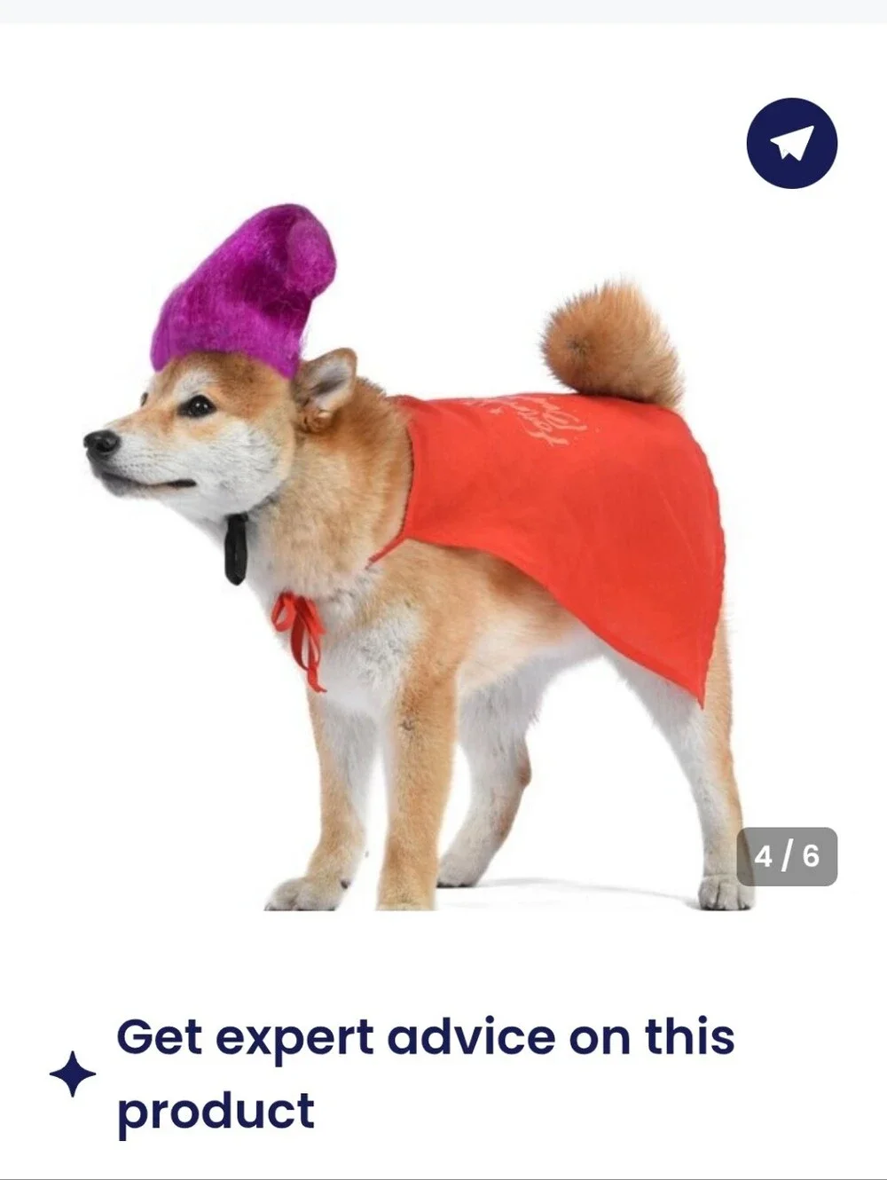 Disney Mary Sanderson Pet Costume - Red & Purple